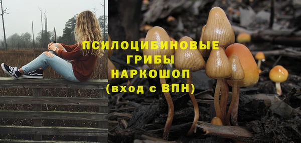 mix Алексеевка