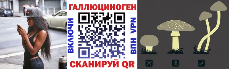кракен онион  маркетплейс телеграм  Галлюциногенные грибы Magic Shrooms  Елец 